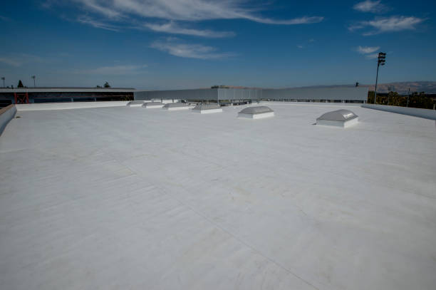 Best 4 Ply Roofing  in Bradfordville, FL