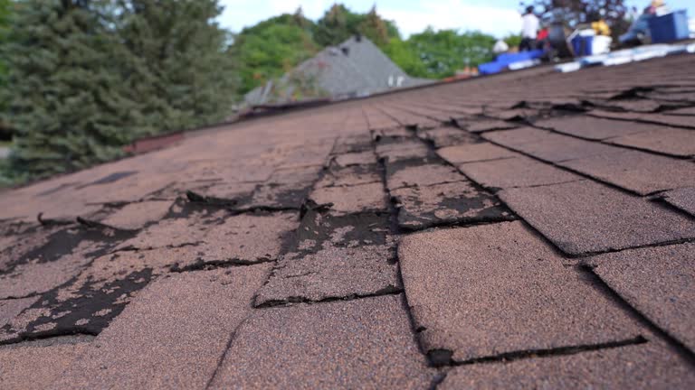 Bradfordville, FL Roofing Service Company