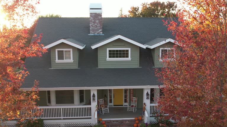 Best Chimney Flashing Repair  in Bradfordville, FL