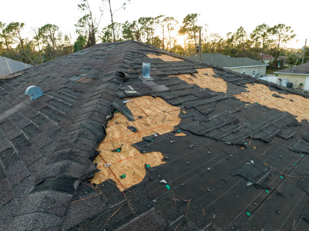 Best Roof Insulation Installation  in Bradfordville, FL