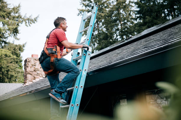 Best Steel Roofing  in Bradfordville, FL