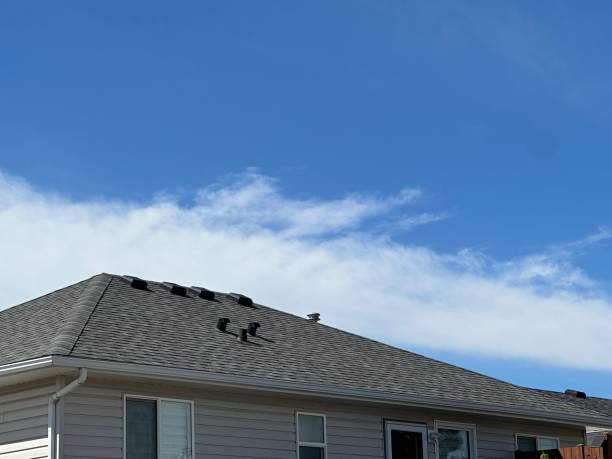 Best Asphalt Shingles Roofing  in Bradfordville, FL